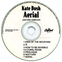 Aerial (Instore Sampler)