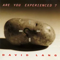 Are You Experienced ?