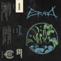 Ernia
