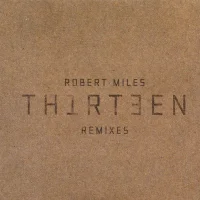 Th1rt3en (Remixes)