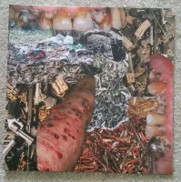 Lay Waste / Future of Pulse