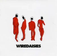 Wire Daisies