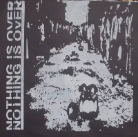 Nothing Is Over / Pigsticker
