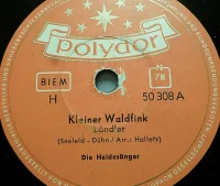 Kleiner Waldfink / Kleines Leuchtkäferl