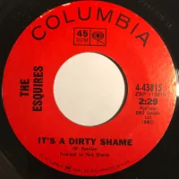It's A Dirty Shame / Love Hides A Multitude of Sins
