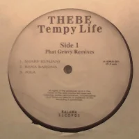 Tempy Life: Phat Gravy Remixes