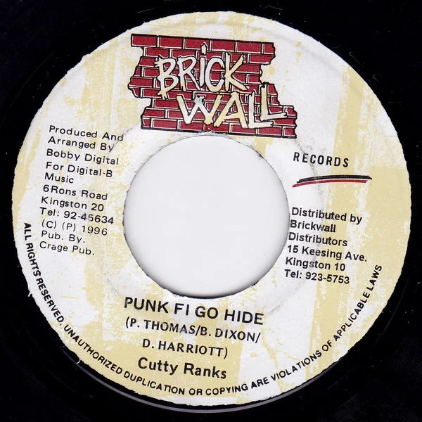 Punk Fi Go Hide