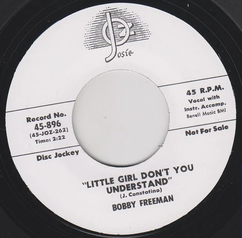 Little Girl Don't You Understand / Do You Want To Dance
