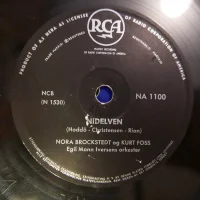 Nidelven / Gondol-serenade