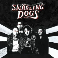 Snarling Dogs
