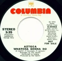 Whatcha Gonna Do