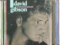 David Gibson
