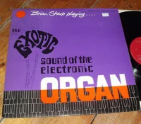 Brian Sharp Playing The Exotic Sound Of The Electronic Organ