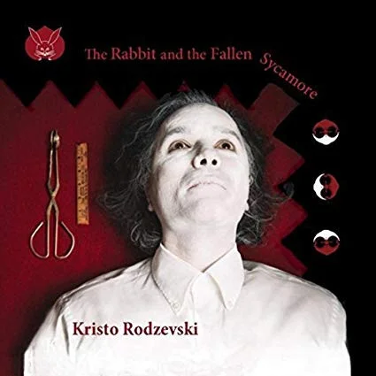 The Rabbit And The Fallen Sycamore