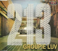 Groupie Luv
