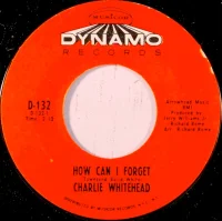 How Can I Forget / The Story Of Mr. Pitiful