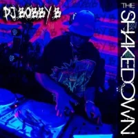 The Shakedown