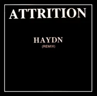 Haydn (Remix)