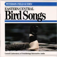 Eastern / Central Bird Songs