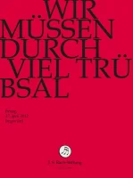 Wir Müssen Durch Viel Trübsal