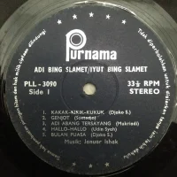 Adi Abang Tersayang