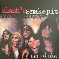 Ain't Life Grand