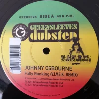 Fally Ranking (V.I.V.E.K Remix)
