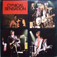 Cynical Sensation