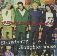 Teenage Torturechamber