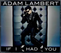 If I Had You