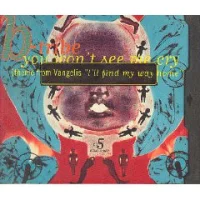 You Won't See Me Cry (Theme From Vangelis "I'll Find My Way Home")