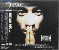 R U Still Down? [Remember Me]