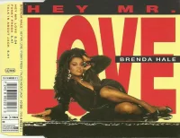 Hey Mr. Love