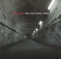 This Too Shall Pass