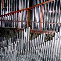 Organ Reworks