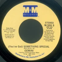 (You've Got) Something Special