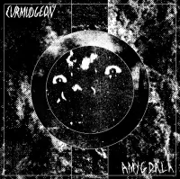 Amygdala