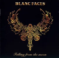 Falling From The Moon