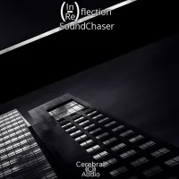 (In/Re)flection