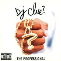 The Professional