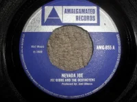 Nevada Joe