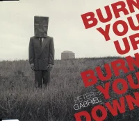 Burn You Up, Burn You Down