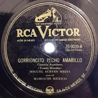 Gorrioncito Pecho Amarillo / Fallaste Corazon