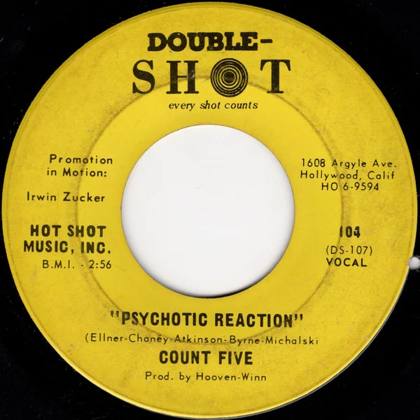 Psychotic Reaction / They're Gonna Get You