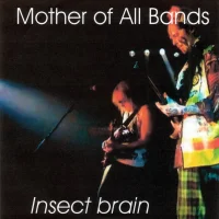 Insect Brain