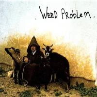 301: Weed Problem II-V
