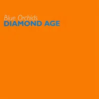 Diamond Age