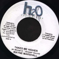 Takes Me Higher