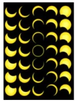 Sunhead