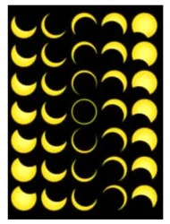 Sunhead